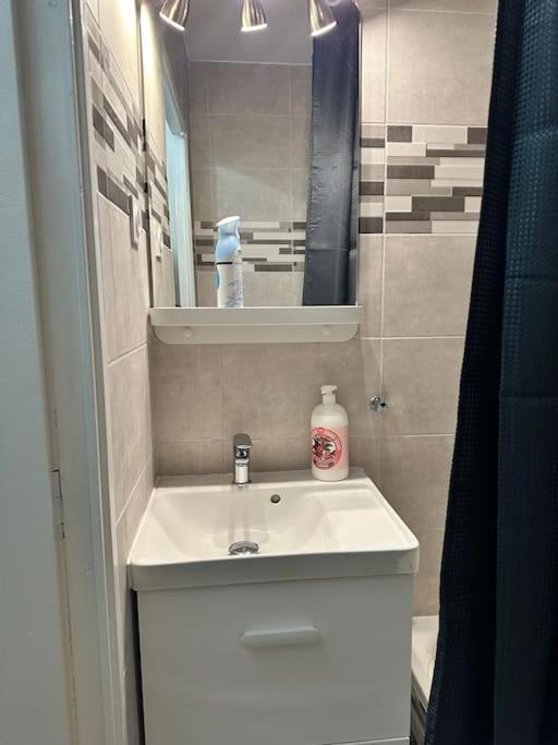 Appartement Moderne Proche Land Bussy-Saint-Georges